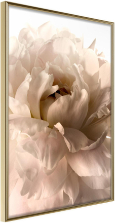 Inramad Poster / Tavla - Bloom - 40x60 Guldram