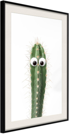 Inramad Poster / Tavla - Funny Cactus I - 40x60 Svart ram med passepartout