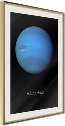 Inramad Poster / Tavla - The Solar System: Neptun - 40x60 Guldram med passepartout