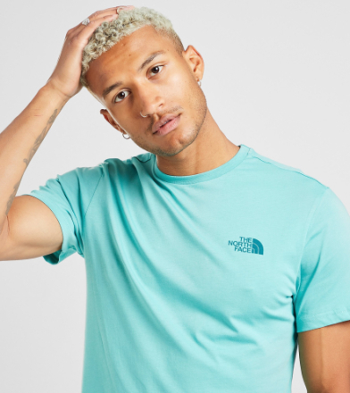 The North Face Simple Dome t-shirt, blå