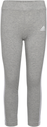 Lk 3S Tight Sport Leggings Grey Adidas Sportswear