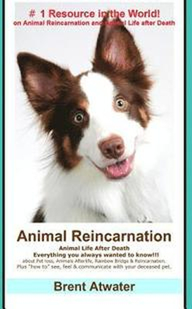 Animal Reincarnation: Everything You Always Wanted to Know! about Pet Reincarnation plus 'how to' techniques to see, feel & communicate with
