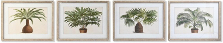Maleri DKD Home Decor Palmer Tropisk (65 x 2 x 50 cm) (4 enheder)
