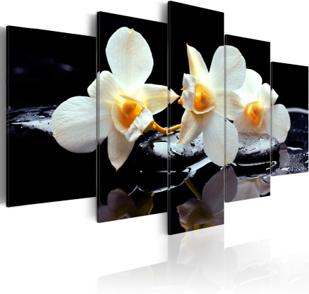 Canvas Tavla - Orchids with orange accent - 100x50