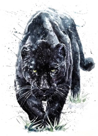Malen nach Zahlen - Panther, Farbe, 50x60cm / Mit Keilrahmen / 36 Farben (Bestseller)