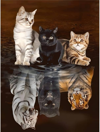 Malen nach Zahlen - Tiger und Panther, Spiegelbilder, 60x75cm / Ohne Rahmen / 36 Farben (Bestseller)