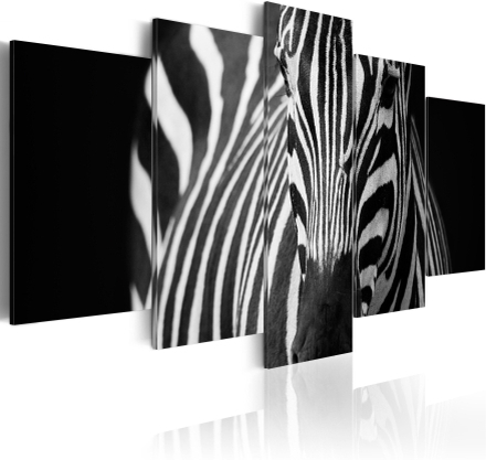 Canvas Tavla - Zebra look - 200x100