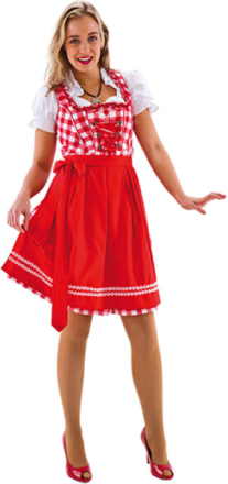 Rödrutig Lyxig Oktoberfestklänning med Förkläde och Blus