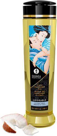 Shunga Massage Oil Adorable Coconut 240ml Kokosmassasjeolje