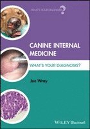 Canine Internal Medicine