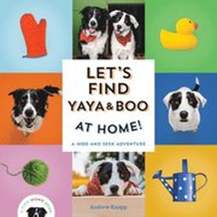 Let's Find Yaya and Boo at Home!