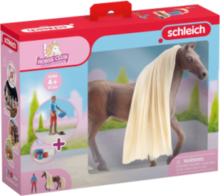 Schleich Sb Starter Set - Leo & Rocky Toys Playsets & Action Figures Animals Multi/patterned Schleich