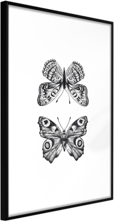 Inramad Poster / Tavla - Butterfly Collection I - 40x60 Svart ram