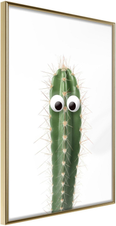 Inramad Poster / Tavla - Funny Cactus I - 40x60 Guldram