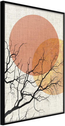 Inramad Poster / Tavla - Gloomy Tree - 30x45 Svart ram