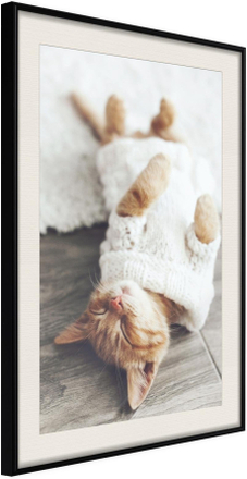 Inramad Poster / Tavla - Kitten Life - 40x60 Svart ram med passepartout