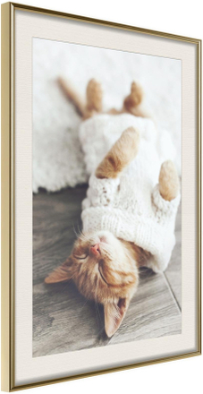 Inramad Poster / Tavla - Kitten Life - 30x45 Guldram med passepartout