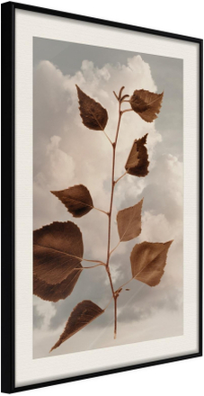 Inramad Poster / Tavla - Leaves in the Clouds - 30x45 Svart ram med passepartout