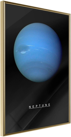 Inramad Poster / Tavla - The Solar System: Neptun - 30x45 Guldram