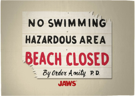 Jaws Beach Closed Woven Rug - Large