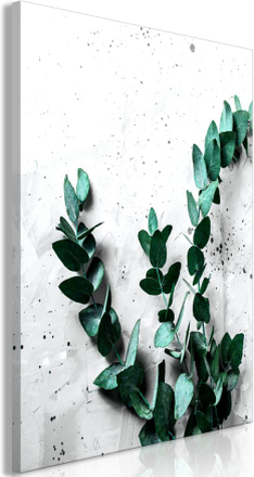 Billede - Eucalyptus Scent Lodret - 40 x 60 cm