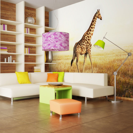 Fototapet - giraf - gå - 300 x 231 cm