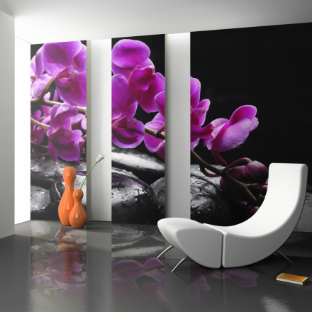 Fototapet - Afslappende øjeblik: orkidé blomst og sten - 250 x 193 cm