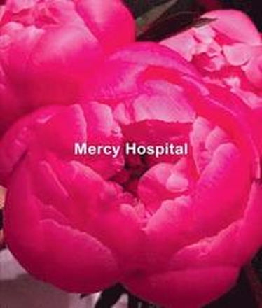 Ida Applebroog: Mercy Hospital
