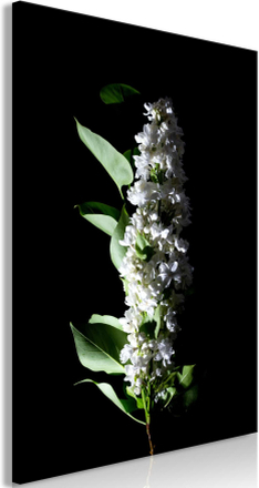 Lærredstryk White Lilacs (1 del)