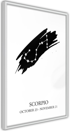 Plakat - Zodiac: Scorpio I - 40 x 60 cm - Hvid ramme