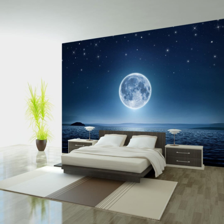Fototapet - Moonlit night - 200 x 140 cm