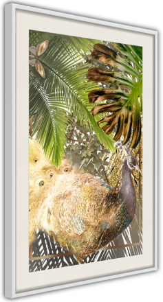 Plakat - Fairy-Tale Peacock in the Jungle - 40 x 60 cm - Hvid ramme med passepartout