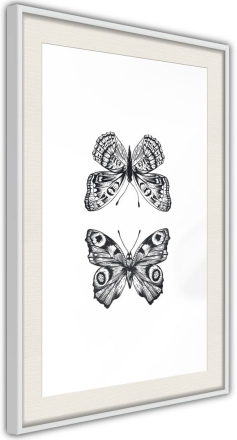Plakat - Butterfly Collection I - 40 x 60 cm - Hvid ramme med passepartout