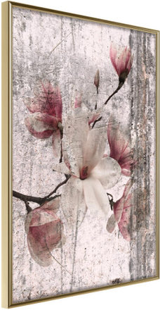 Plakat - Queen of Spring Flowers I - 40 x 60 cm - Guldramme