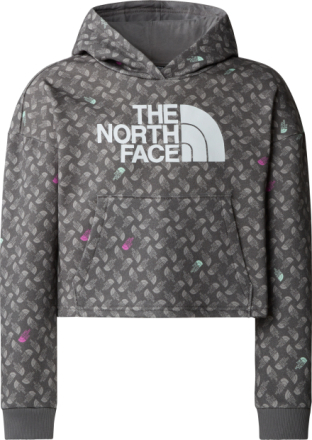 The North Face The North Face G Drew Peak Light Hoodie Print Smoked Pearl TNF Shadow Langermede trøyer L