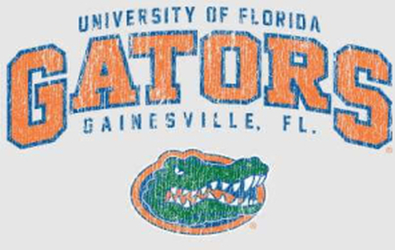 Florida Gators Men's T-Shirt - Grey - M