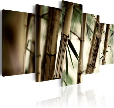 Billede - Asian bamboo forest - 200 x 100 cm