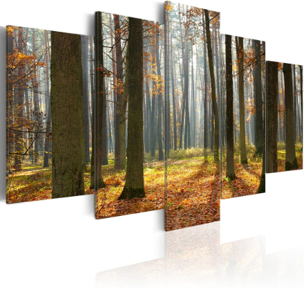 Billede - A nice forest landscape - 100 x 50 cm