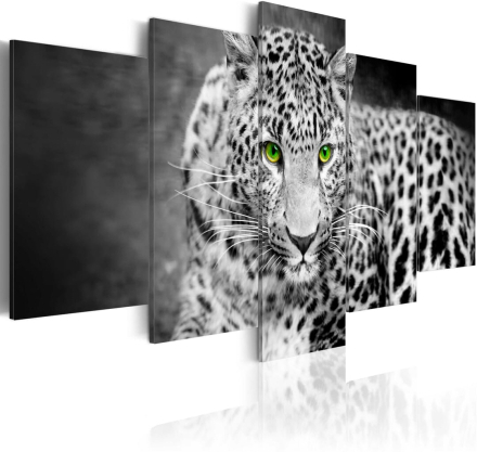 Billede - Leopard - black&white - 100 x 50 cm