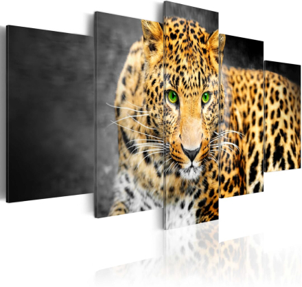 Billede - Green-eyed leopard - 100 x 50 cm