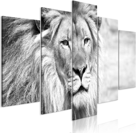 Billede - The King of Beasts (5 Dele) Wide Black and White - 100 x 50 cm