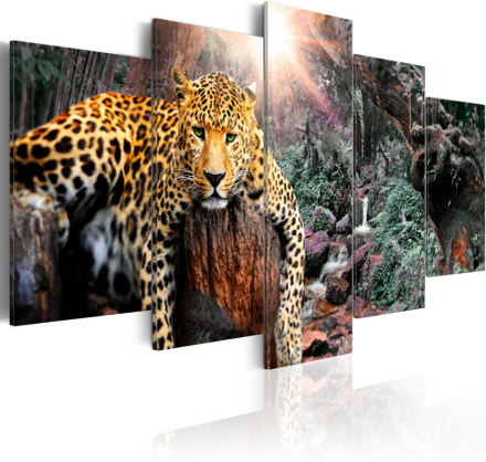 Billede - Leopard Relaxation - 100 x 50 cm