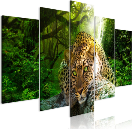 Billede - Leopard Lying (5 Dele) Wide Green - 100 x 50 cm