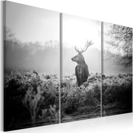 Billede - Black and White Deer I - 90 x 60 cm