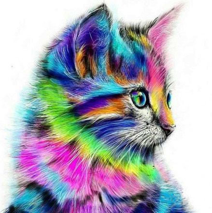 Katze im Profil, Farbenfroh - Malen nach Zahlen, 50x50cm / Mit Keilrahmen / 24 Farben (Einfach)