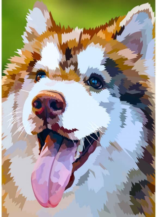 Malen nach Zahlen - Glücklicher Husky Porträt, 60x75cm / Ohne Rahmen / 48 Farben (Höchste Details)