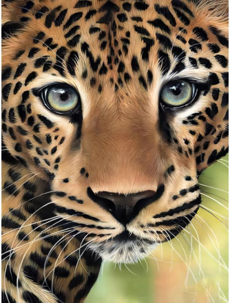 Malen nach Zahlen - Leopard grüne Augen, 60x75cm / Ohne Rahmen / 24 Farben (Einfach)