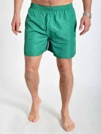 Berg Shorts Verdant Green (M)