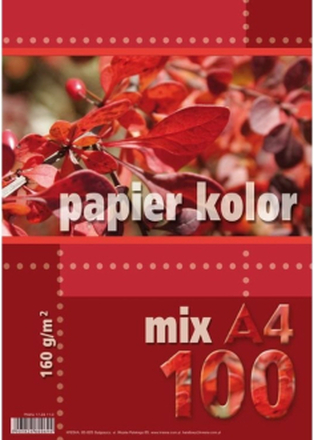 Dash A4 colored paper 160g. 100 sheets