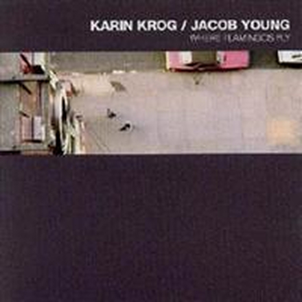 Krog Karin/Jacob Young: Where Flamingos Fly
